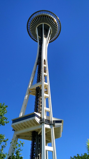 Title IX Legal Support for University Students in Seattle