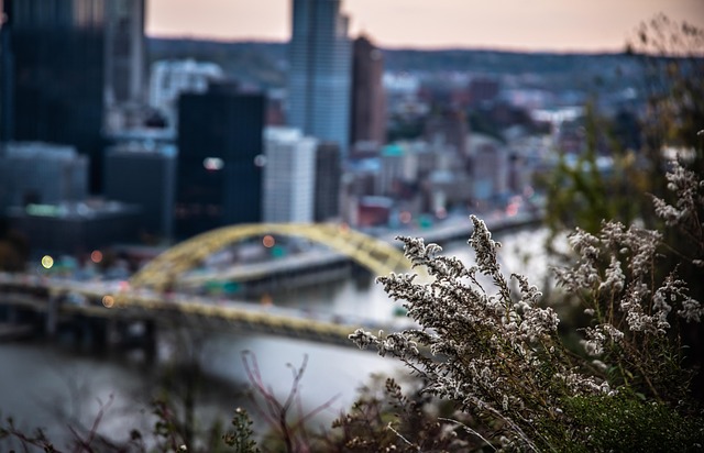 Elderly Sexual Assault in Pittsburgh Nursing Homes: Legal Steps & Attorney Role