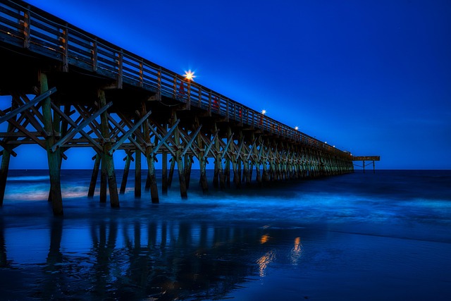 Preventing Elder Abuse: Tech Solutions and Legal Support in South Carolina