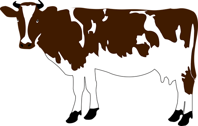npressfetimg-5932.png