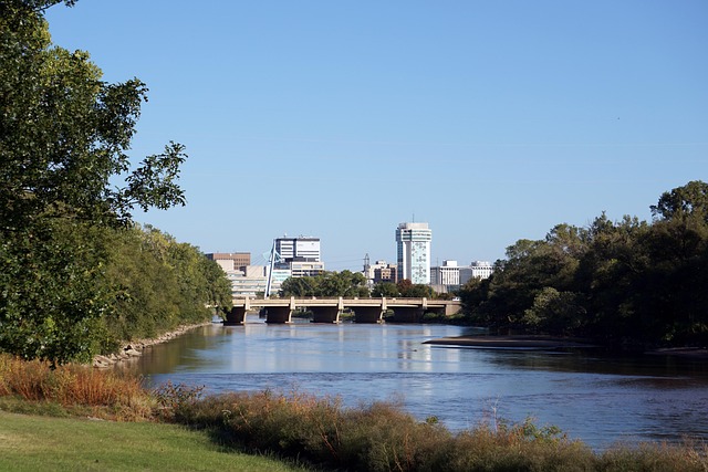 Cruise Assault Justice: Wichita KS Lawyers Fight for Victims’ Rights