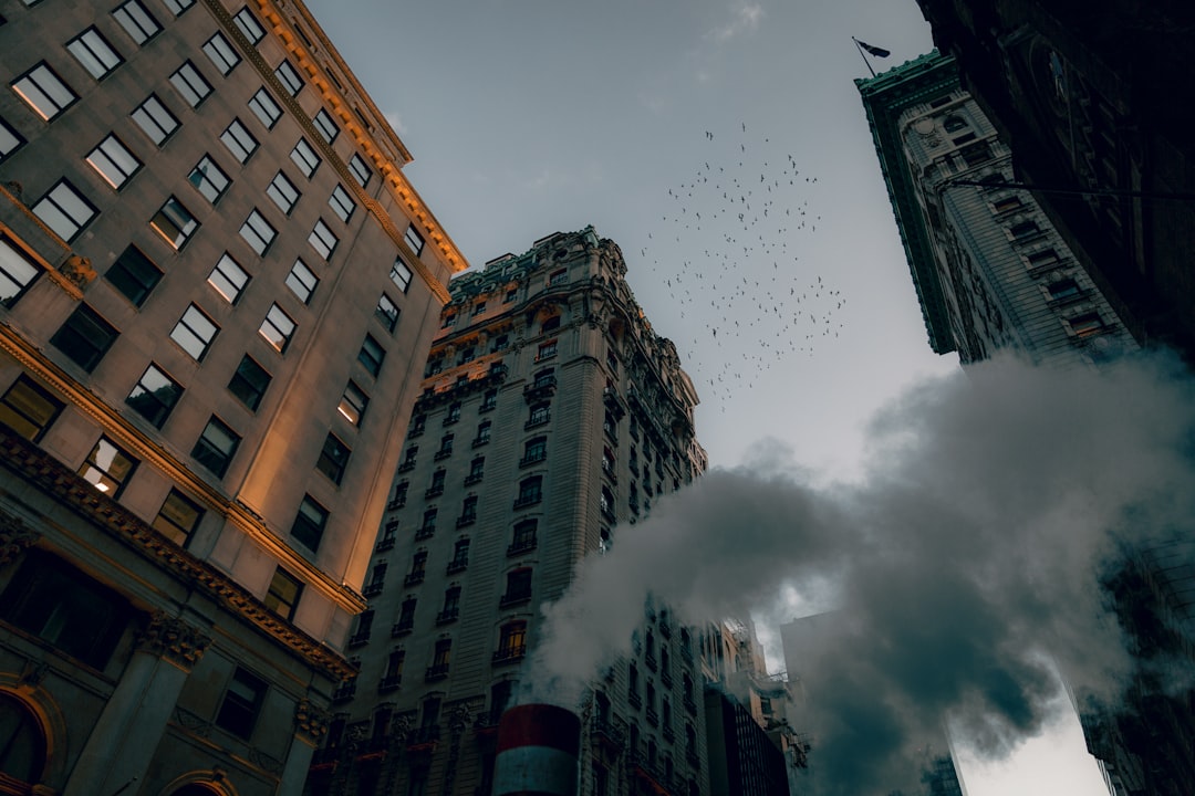 NY