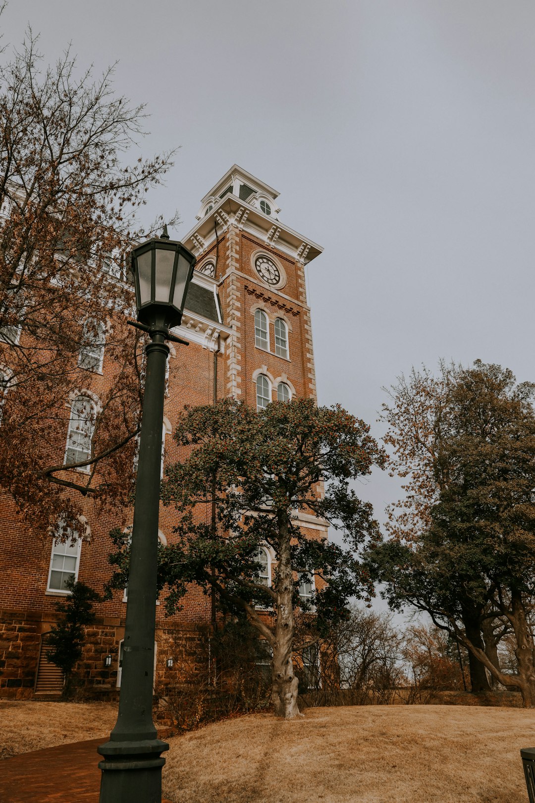 Navigating Arkansas Title IX Sexual Assault Cases with Legal Support