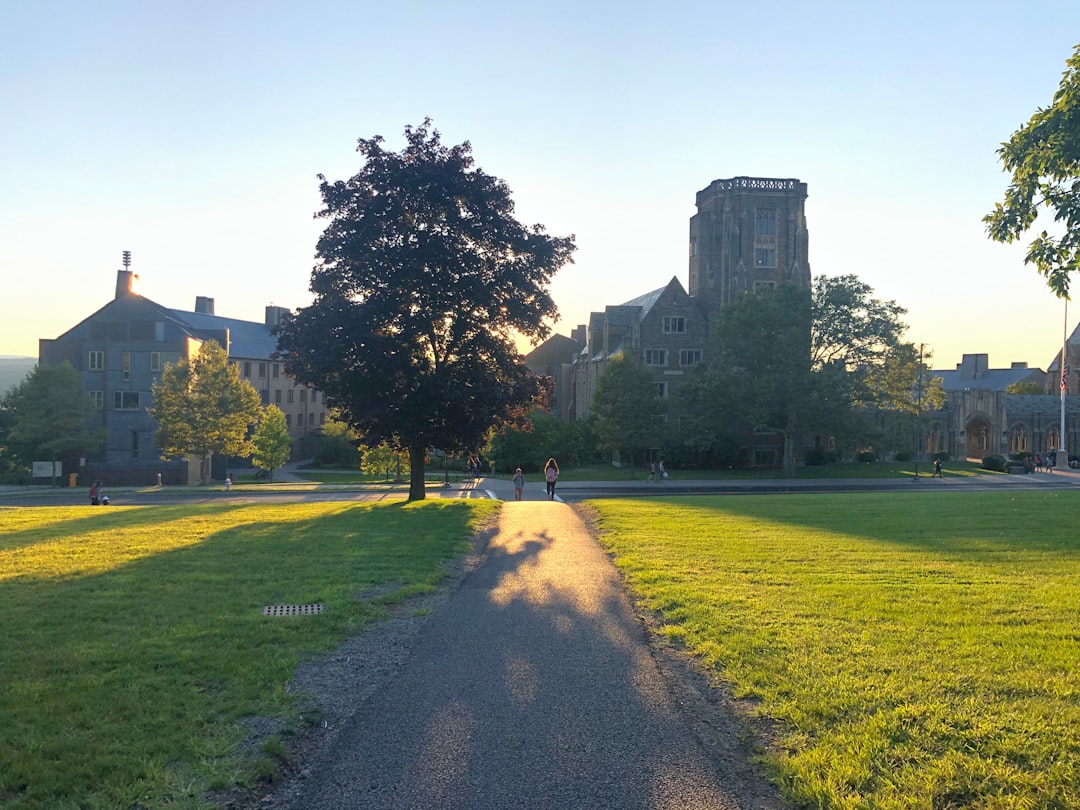 schooluniversityconnecticut-640x480-74958748.jpeg