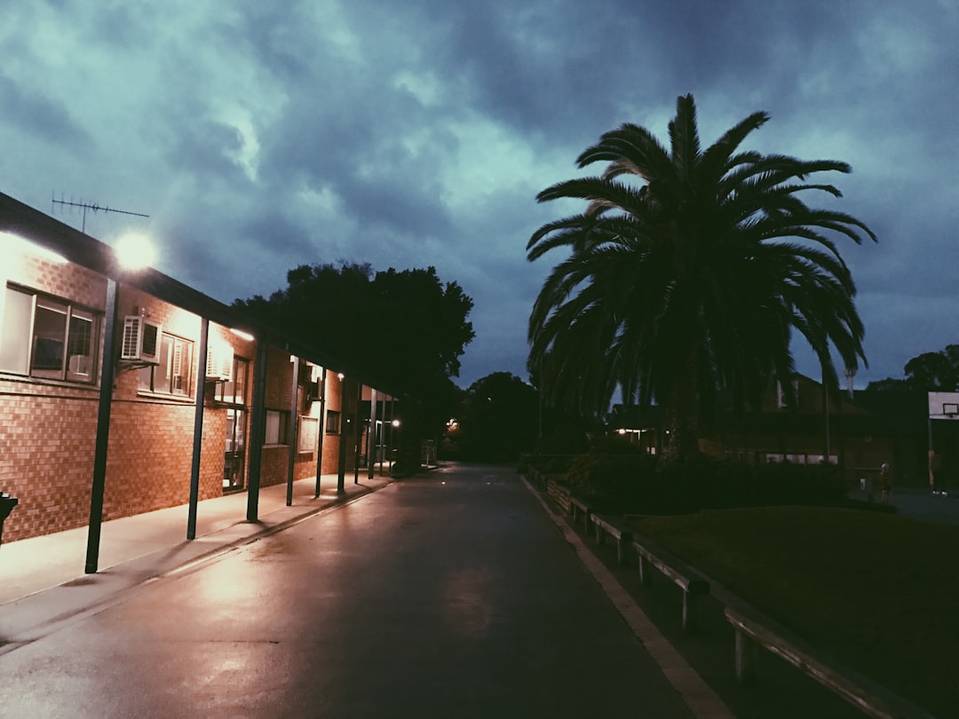 schooluniversityflorida-640x480-49879849.jpeg
