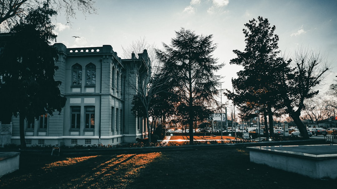 schooluniversitygeorgia-640x480-44030907.jpeg