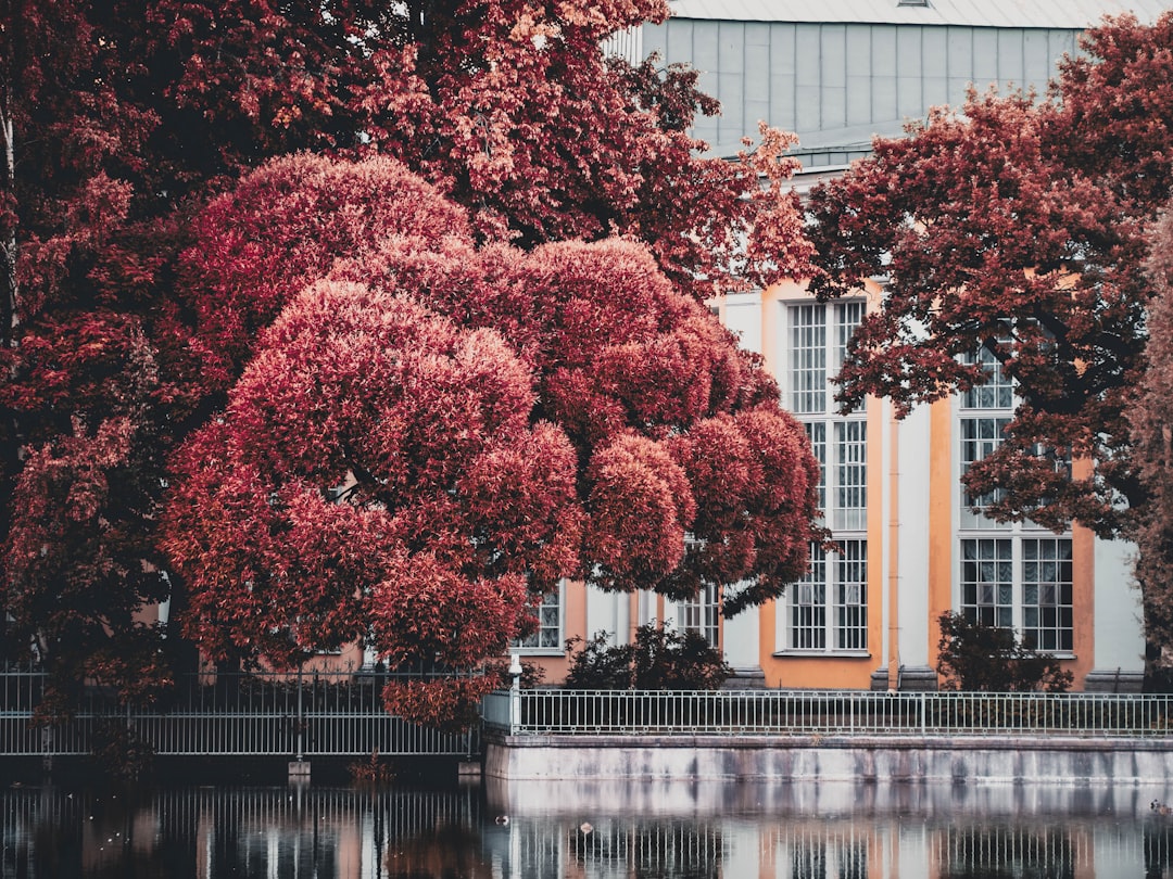 schooluniversitygeorgia-640x480-54022258.jpeg