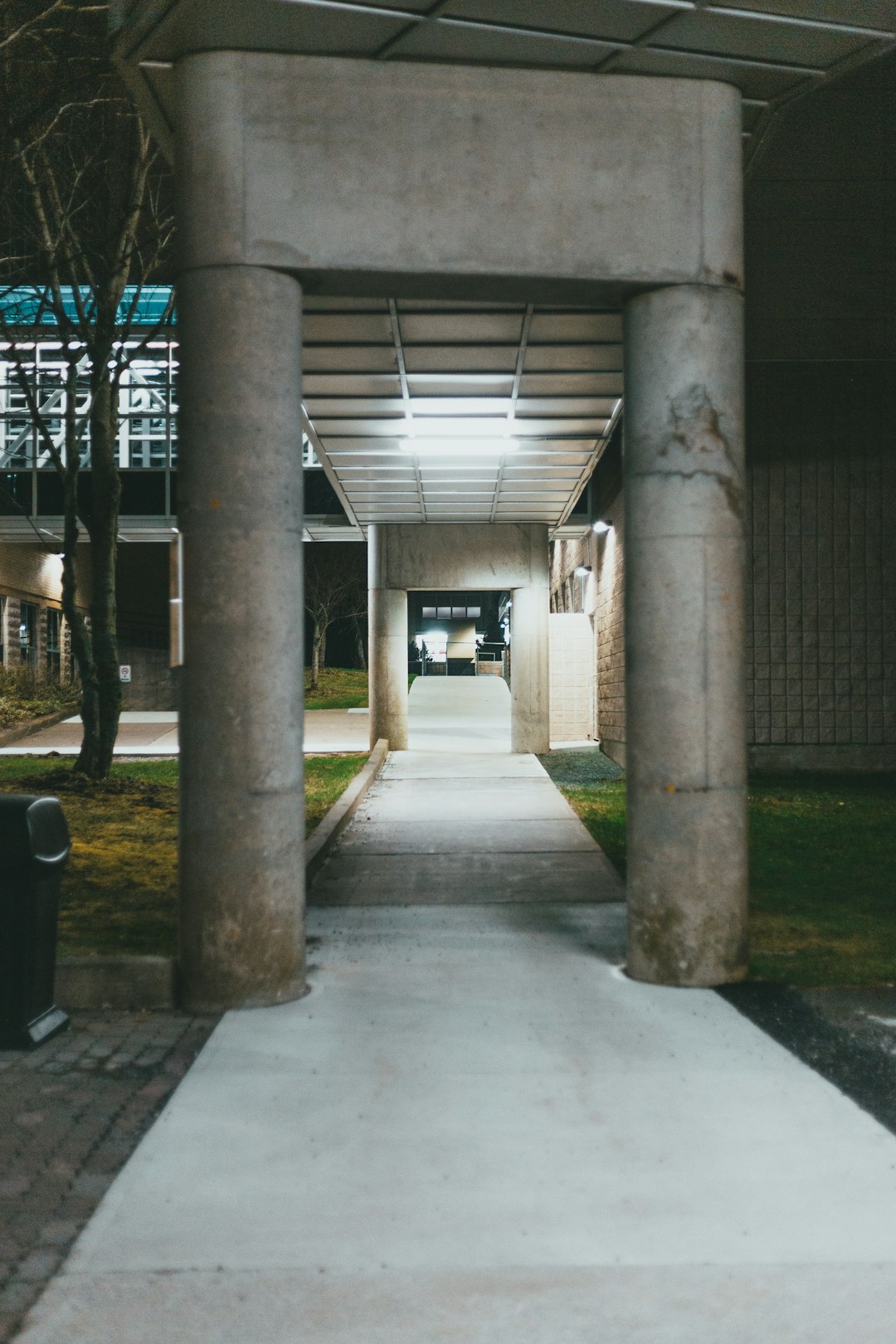 schooluniversitymissouri-640x480-49055459.jpeg