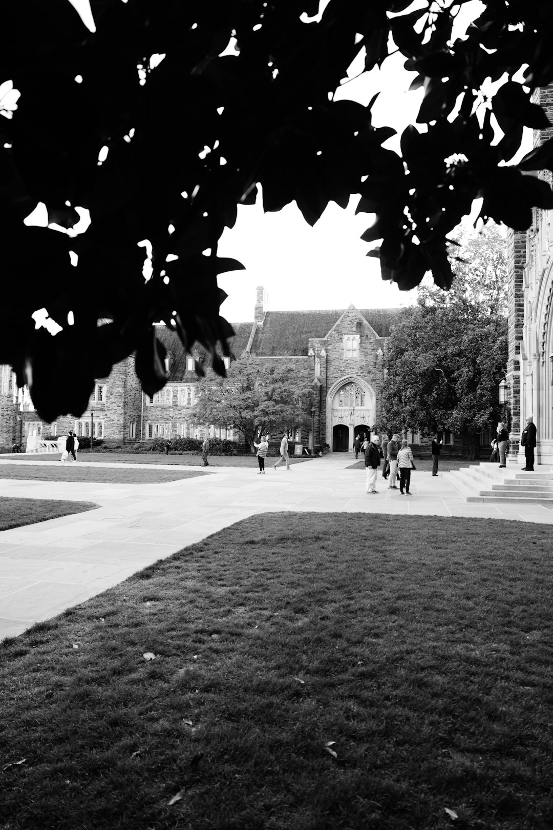 Defending Title IX Accusations: Ohio Legal Guide for Students