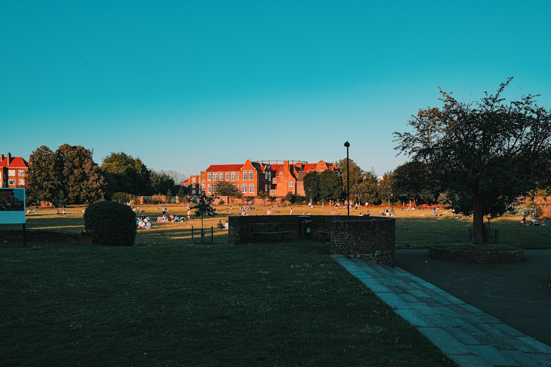 schooluniversitytexas-640x480-27708769.jpeg