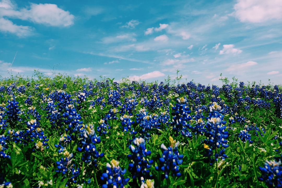 Navigating Houston’s Legal Landscape: Preparing for a Daycare Abuse Consultation