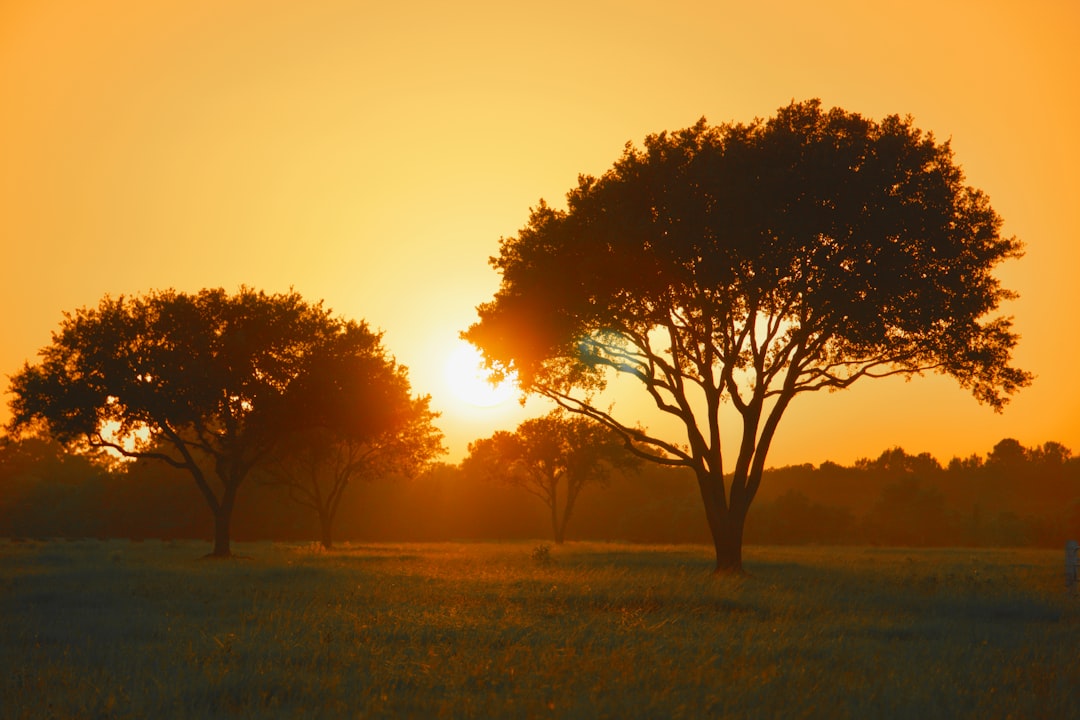 Chances of Winning Sexual Assault Case in Fort Worth: Guide with Rape Attorney Texas Insights