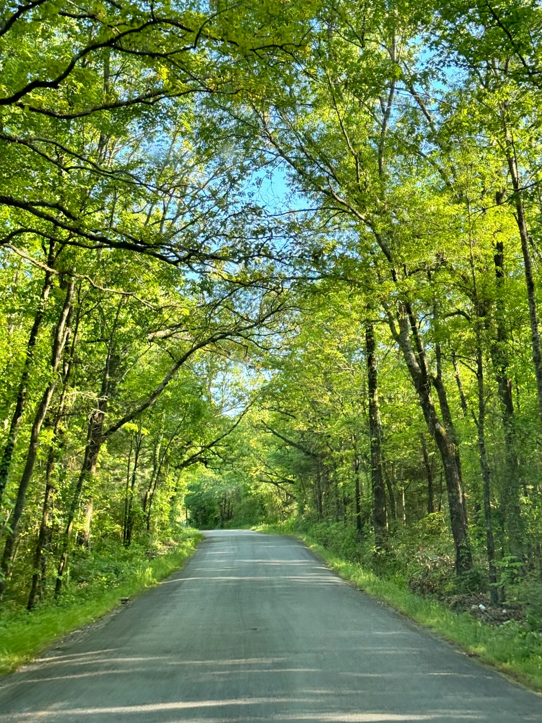 arkansas-640x480-66562511.jpeg