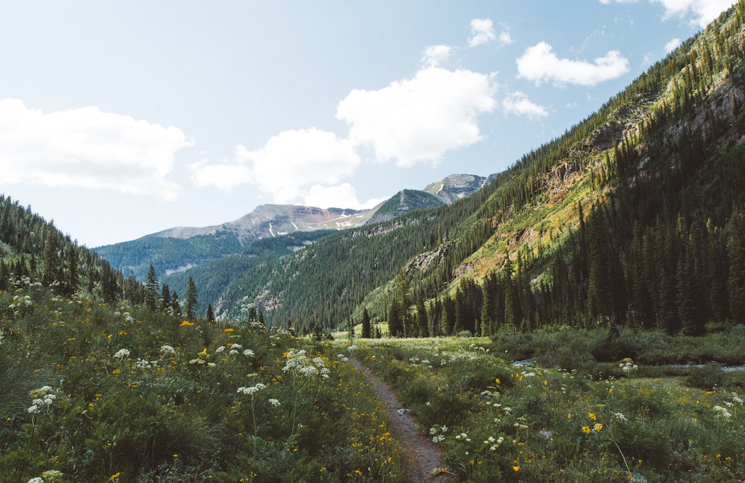 Elder Abuse Prevention in Grand Junctions: Protecting Colorado’s Vulnerable Residents