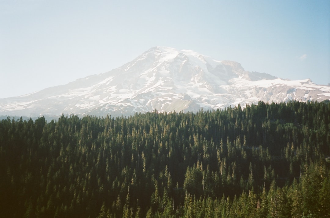 lawyer,lawsuit,Oregon