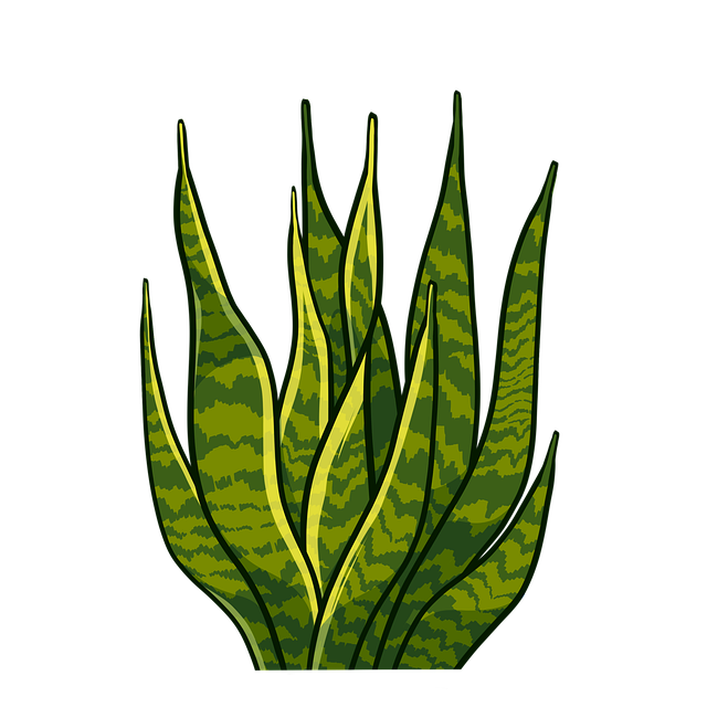 npressfetimg-3534.png