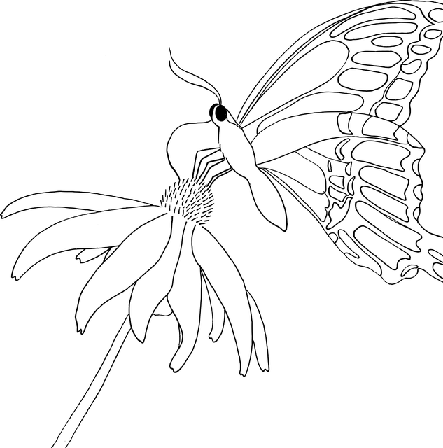 npressfetimg-4183.png