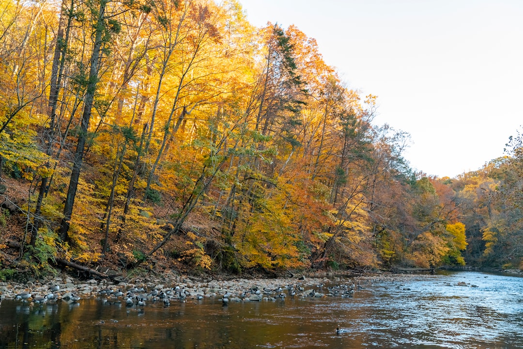 Pennsylvania