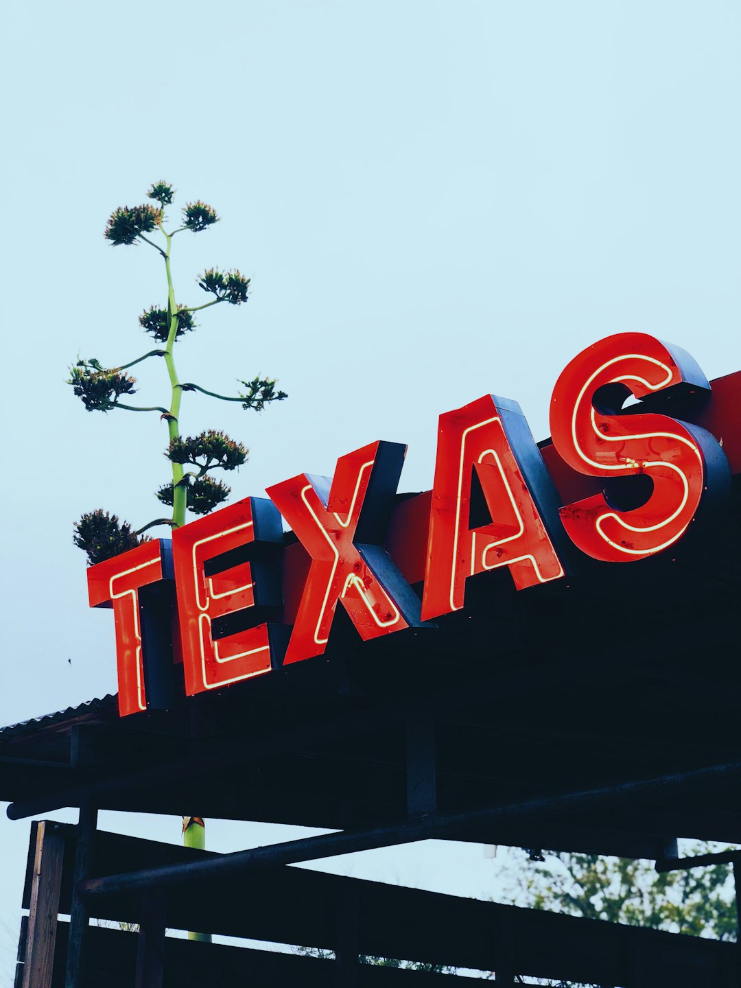 texas-640x480-28479080.jpeg