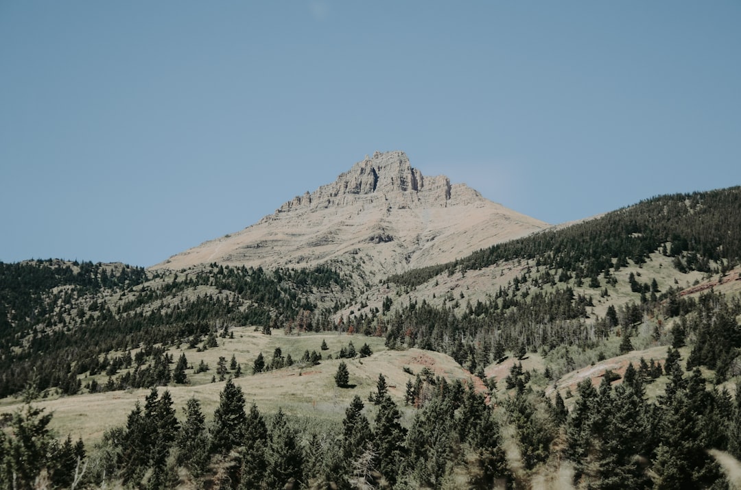 lawyer,lawsuit,Colorado