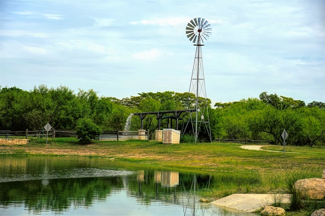 School Abuse Law Firms Austin TX: Guide for Low-Income Families