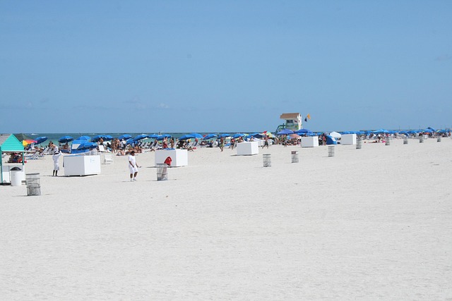 Expert Legal Aid for Male Assault Cases in Miami