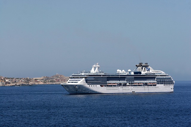 Cruise Line Sexual Assault Lawyers Kansas: Guidance for Survivors
