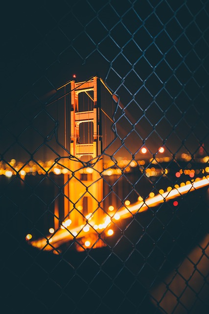 Protecting Male Survivors: Legal & Community Support in San Francisco