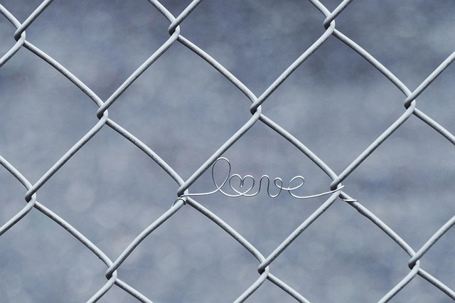 npressfetimg-4228.png