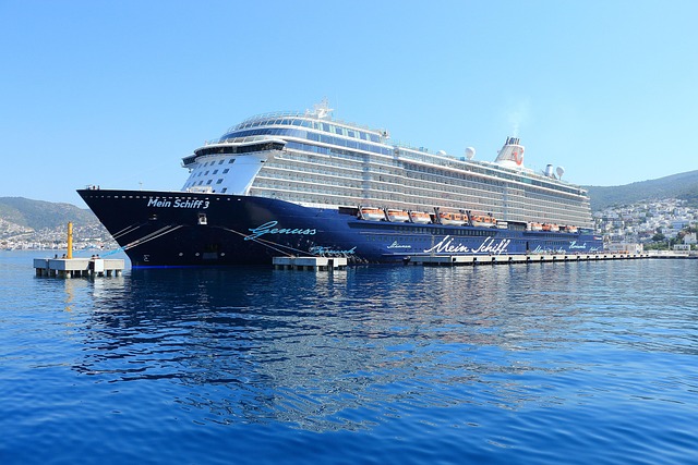 Cruise Line Sexual Assault Legal Help in Kansas City: Navigating Justice