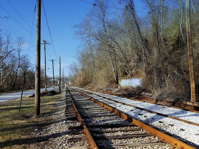 Baltimore MD