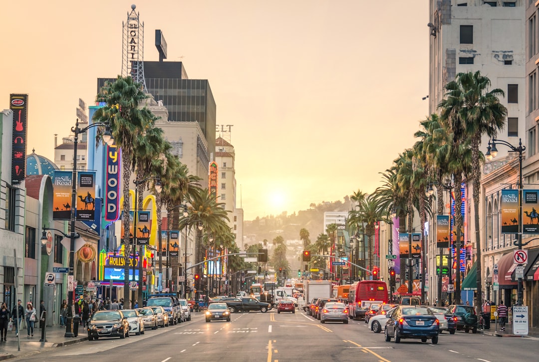 Survivors’ Rights: California Clergy Abuse Lawyer’s Guide