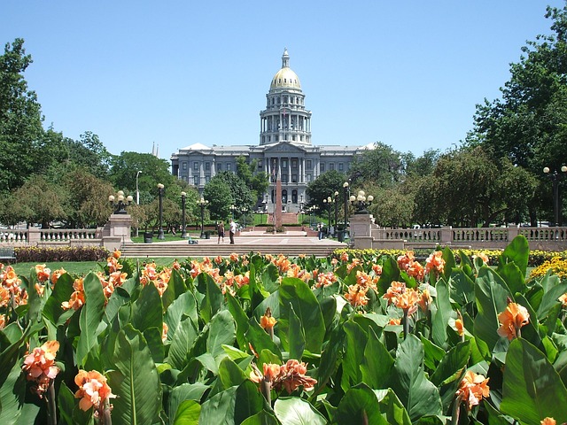 Denver CO