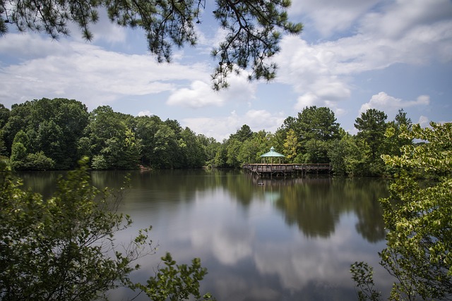 lawyer,lawsuit,Atlanta GA