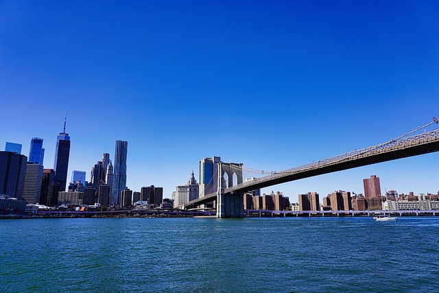 lawyer,lawsuit,Buffalo NY