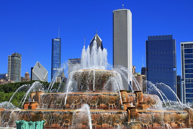 lawyer,lawsuit,Chicago IL