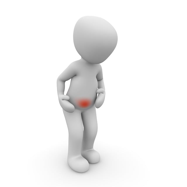 lawyer,lawsuit,Chicago IL