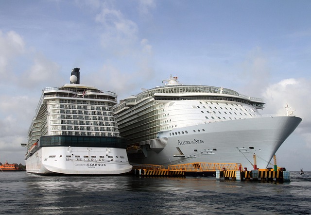 lawyer,lawsuit,cruise ship,Atlanta GA