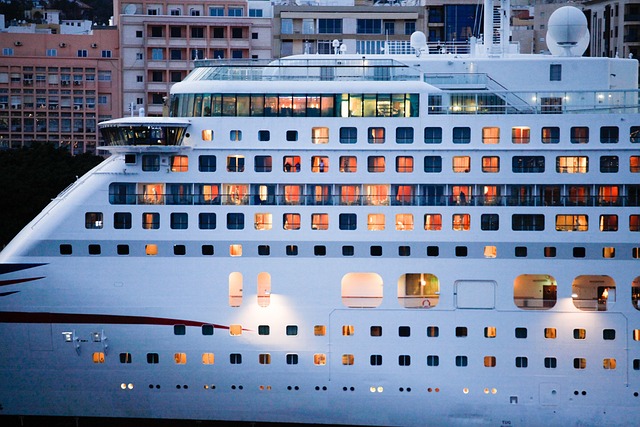 lawyer,lawsuit,cruise ship,Austin TX