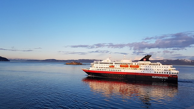 lawyer,lawsuit,cruise ship,Austin TX