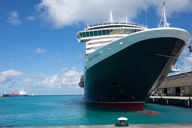 lawyer,lawsuit,cruise ship,Austin TX