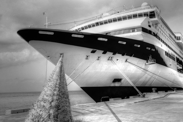 lawyer,lawsuit,cruise ship,Baltimore MD
