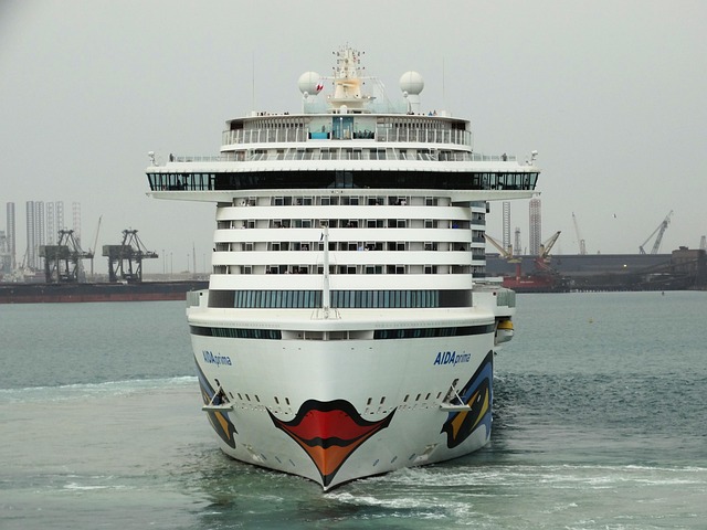 lawyer,lawsuit,cruise ship,Baltimore MD