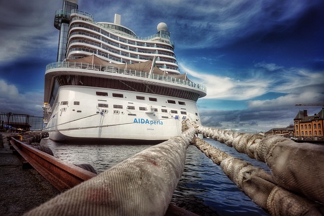 lawyer,lawsuit,cruise ship,Chicago IL