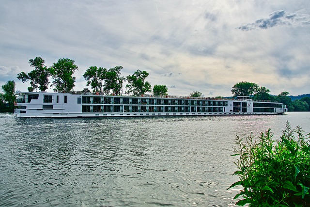 lawyer,lawsuit,cruise ship,Chicago IL