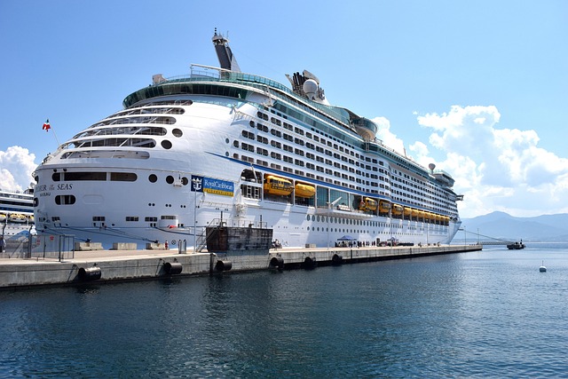lawyer,lawsuit,cruise ship,Chicago IL