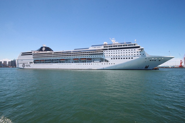 lawyer,lawsuit,cruise ship,Chicago IL