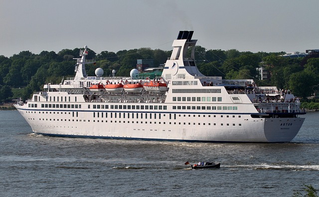 lawyer,lawsuit,cruise ship,Dallas TX
