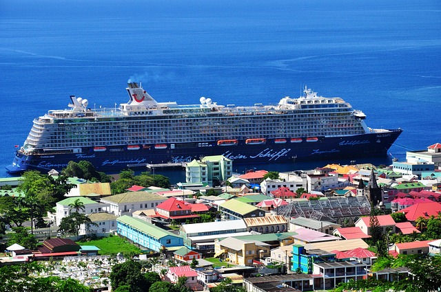 lawyer,lawsuit,cruise ship,Dallas TX