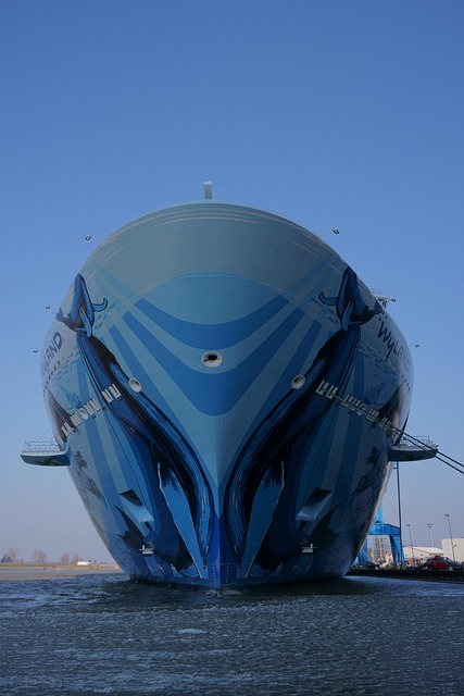 lawyer,lawsuit,cruise ship,Denver CO